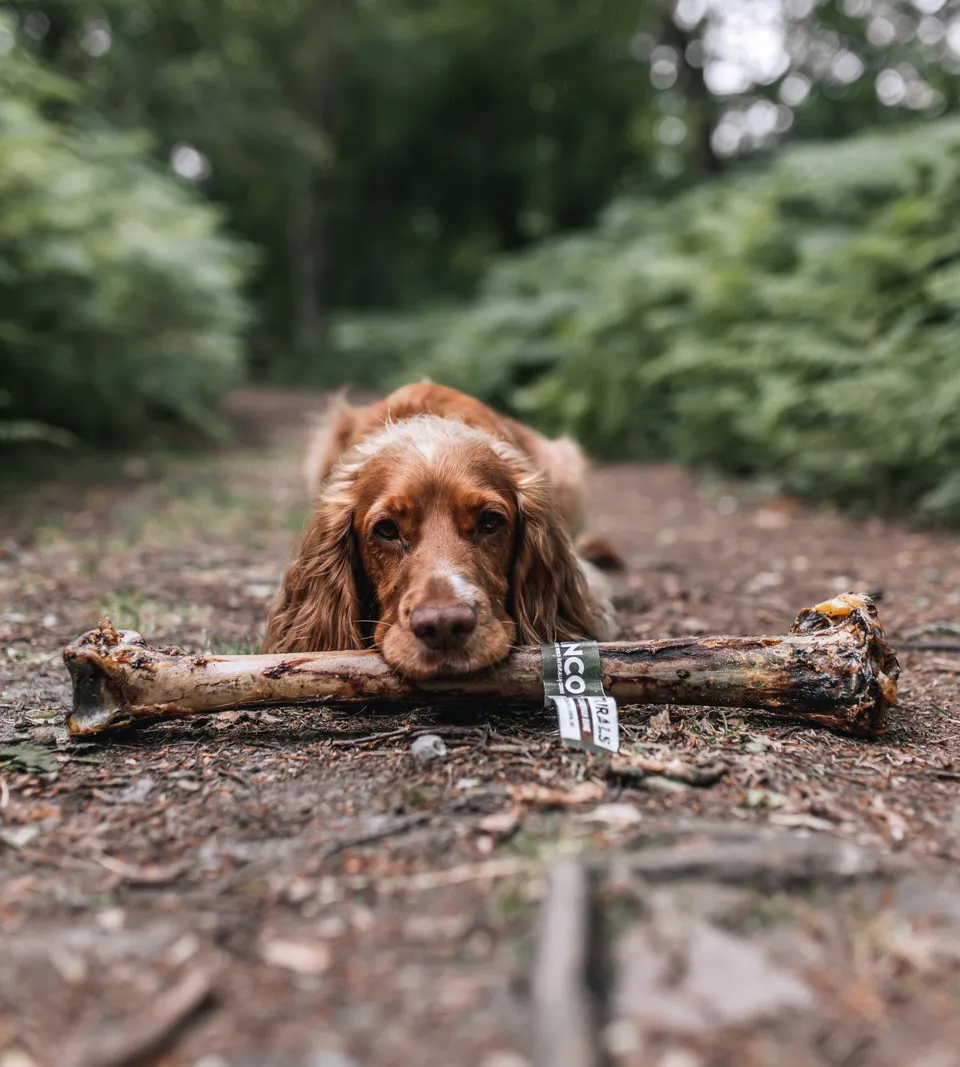 Anco Naturals Ostrich Caveman Bone Dog Chew