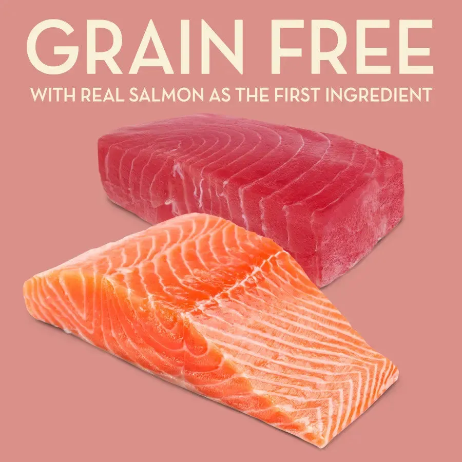 AvoDerm Grain Free Salmon with Tuna Meal Dry Cat Food