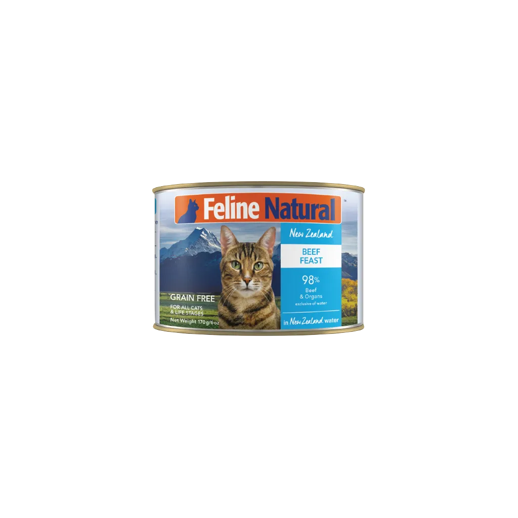 Beef Feast Canned Cat Food