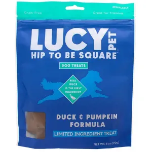 Lucy Pet Hip to Be Square Duck Pumpkin Dog Treats 6oz