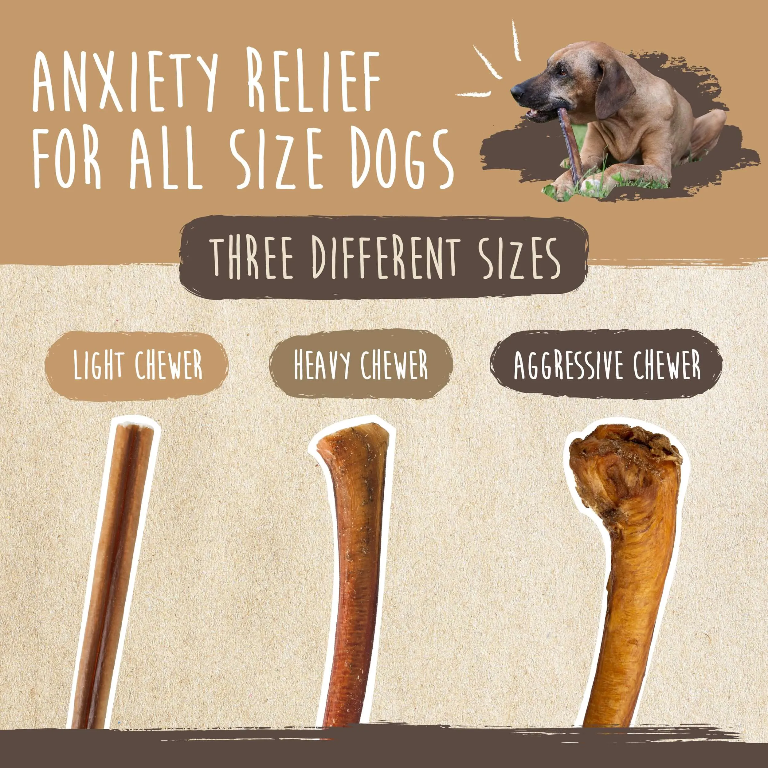 Mighty Paw Naturals Bully Sticks: All-Natural Dog Chews for Healthy Teeth and Gums