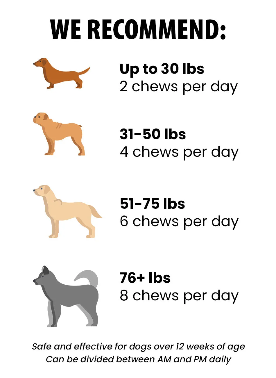 MultiVitamin Soft Chew Supplement