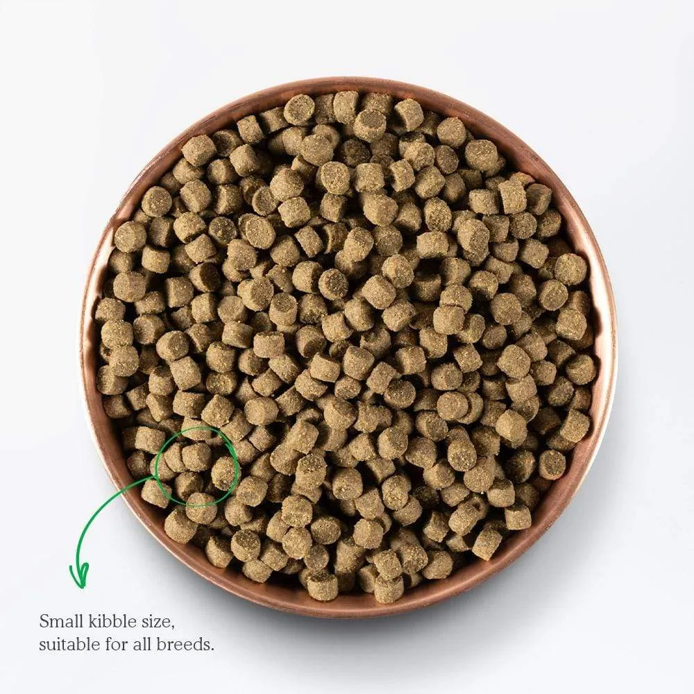 Open Farm Grain-Free Grass-Fed Beef Dry Dog Food