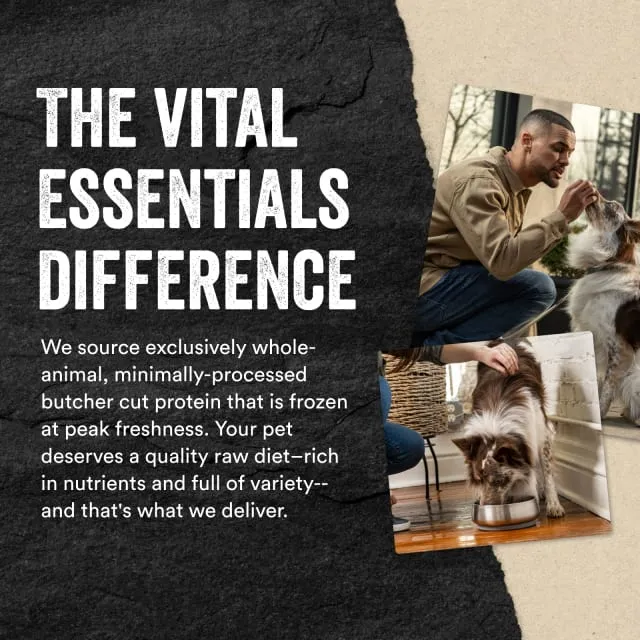 Vital Essentials Freeze-Dried Minnows Dog Treats